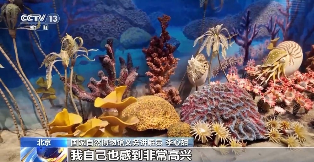 丰富的活动, 黄佳芝, 物馆暑期延