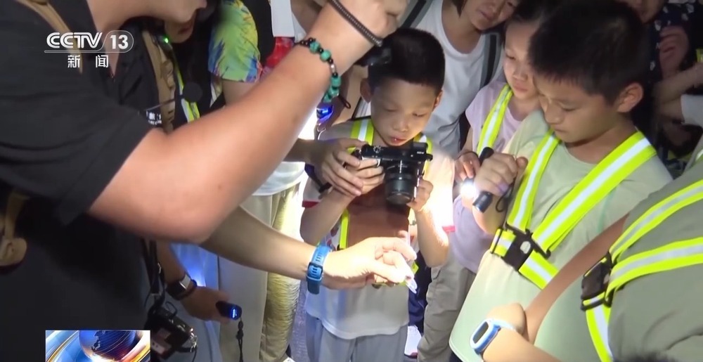 妙夜, amp, 团队协作能