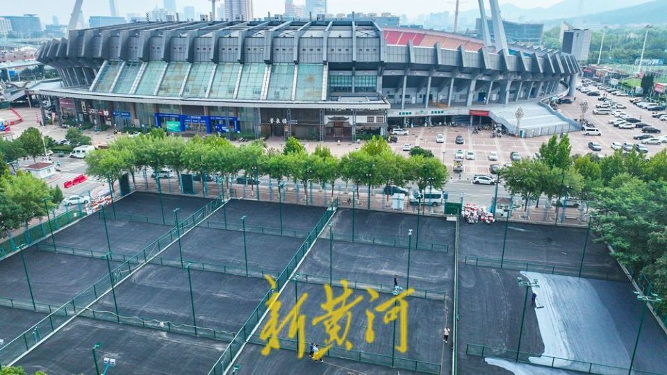 匹克球主题, zV, bt